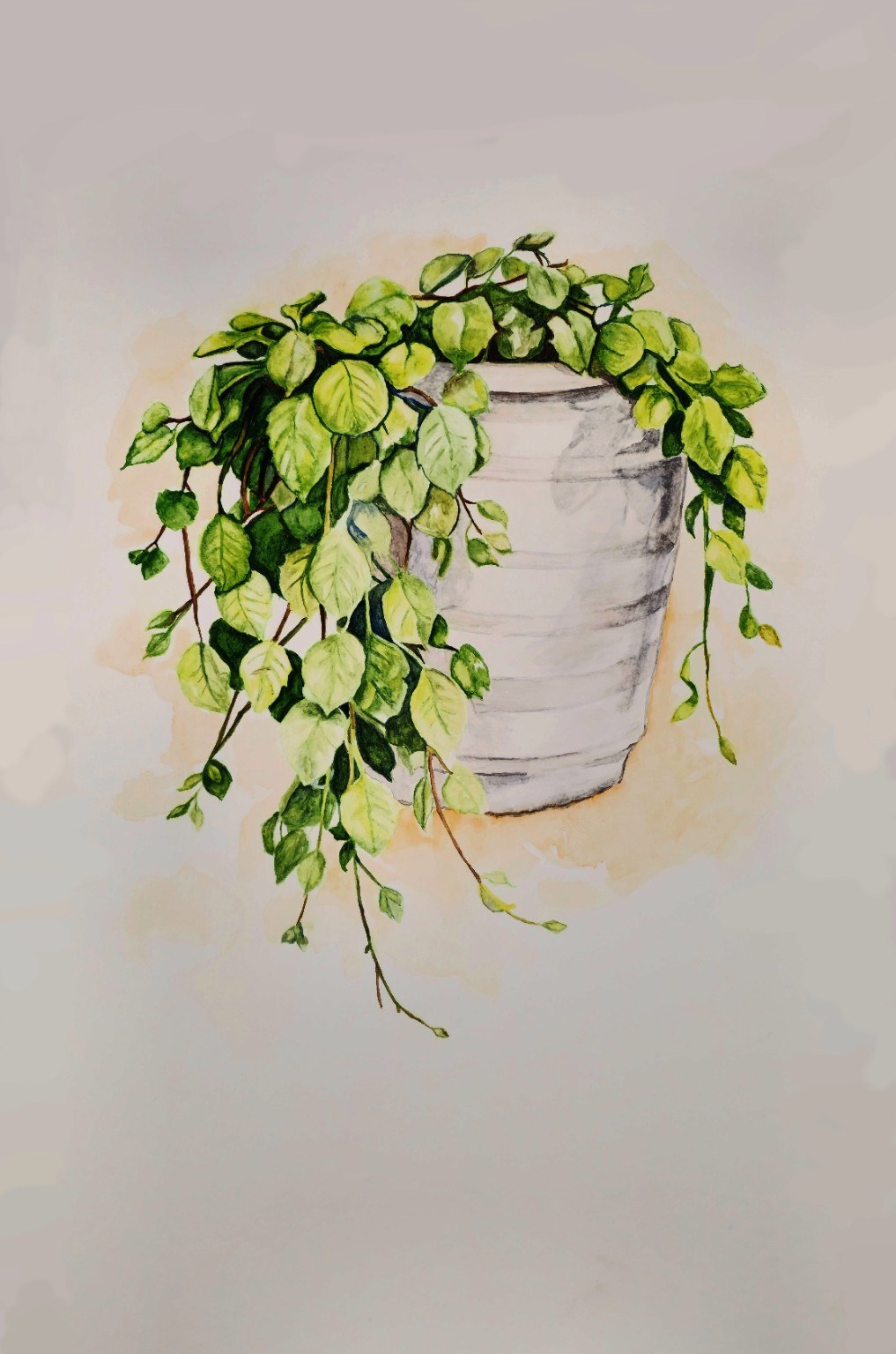 Quiet Grace botanical watercolor study by Tonja Hicks
