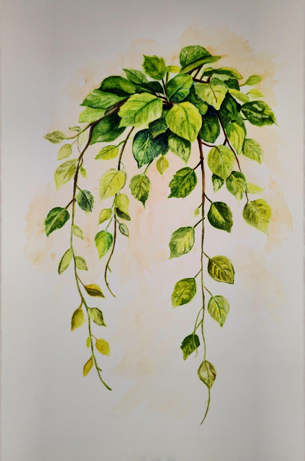 Serenity botanical watercolor study by Tonja Hicks