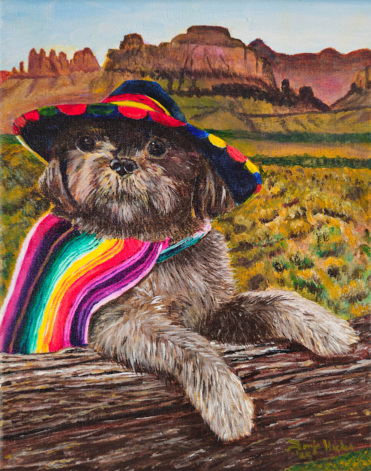 Shadow the Shih Tzu wearing a colorful serape and sombrero while exploring an Arizona desert landscape in Shadow in the Desert by Tonja Hicks